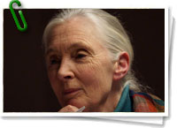 Jane Goodall