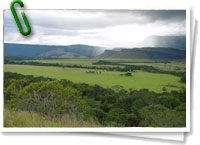 Vista de la sabana