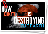Cómo el cambio climático está destruyendo la Tierra