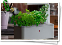 Smart herb garden