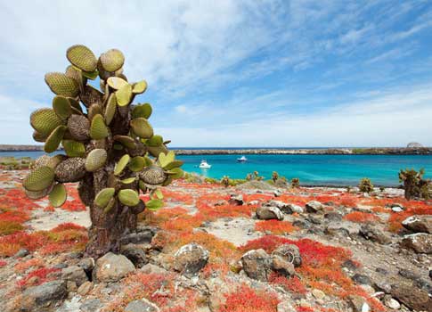 Islas Galápagos