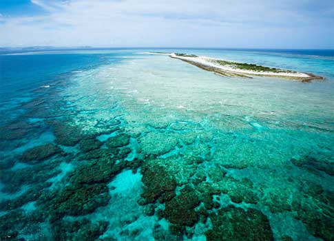 Gran barrera de Coral