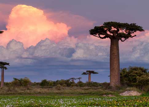 Paisaje de Madagascar