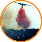 forest fires
