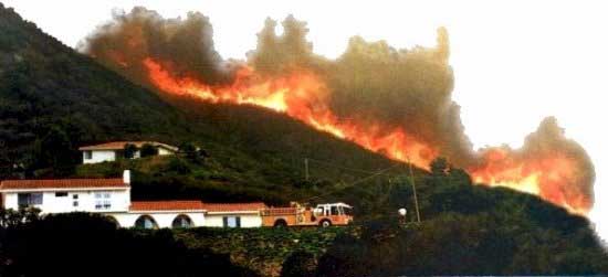 inciendios forestales
