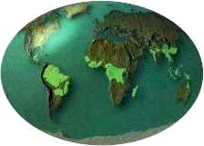 distribución geográfica de las selvas.