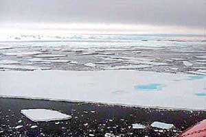 Se funde la Barrera de Larsen, en la Antártida