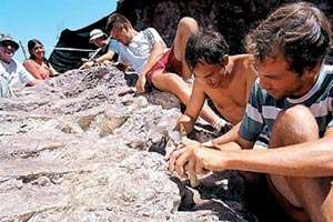 Los investigadores de la Universidad del Comahue trabajan en la limpieza de los restos fósiles