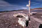 Laguna Brava, en la provincia de La Rioja, una de las tantas zonas en las que se evidencia el deterioro de los recursos naturales del país