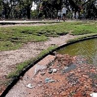 El Rosedal, con plásticos y botellas en la orilla