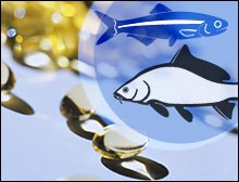 Gran Bretaña advierte sobre mercurio en ciertos pescados