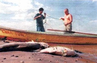 pescadores del Paraná