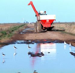 Caminos anegados