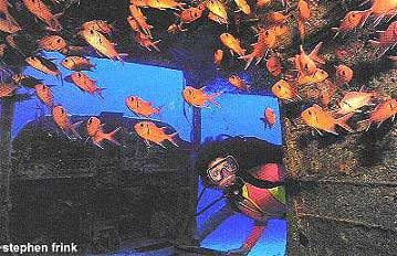 peces ardilla