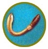 Anélidos