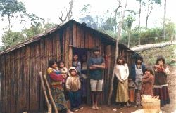 Guaranías de la selva misionera