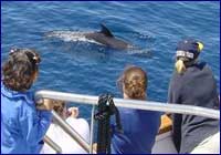 Ecoturismo Ecoturismo