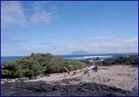 Volcán Fernandina - Galápagos