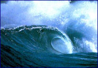 Tsunami Tsunami