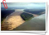 Sequía en el Amazonas