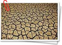 Entre los efectos del calentamiento global están las sequías prolongadas