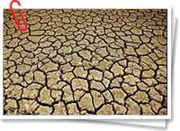 Entre los efectos del calentamiento global están las sequías prolongadas Entre los efectos del calentamiento global están las sequías prolongadas