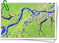 Vista satelital del curso del río Amazonas