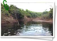 El curso actual del Amazonas se produjo al final del período Cretáceo. El curso actual del Amazonas se produjo al final del período Cretáceo.