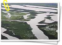 Amazonia Amazonia