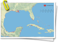 Aumento del nivel del mar en la zona del Caribe