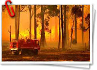 Incendios en Australia