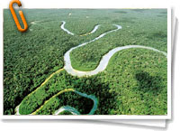 Amazonas