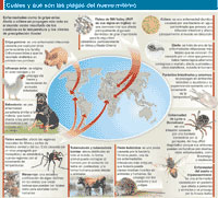 Infografía - Click para ampliar