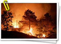 Incendio forestales