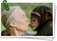 Jane Goodall