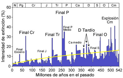 Gráfico