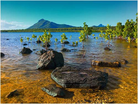 Isla Mauricio