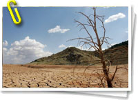 Día Mundial de lucha contra la Desertificación y la Sequía