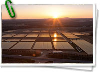 Planta energía solar Apple
