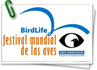 Día Mundial de las Aves