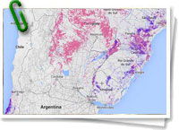 Global Forest Watch