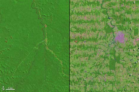 Deforestación y lluvias