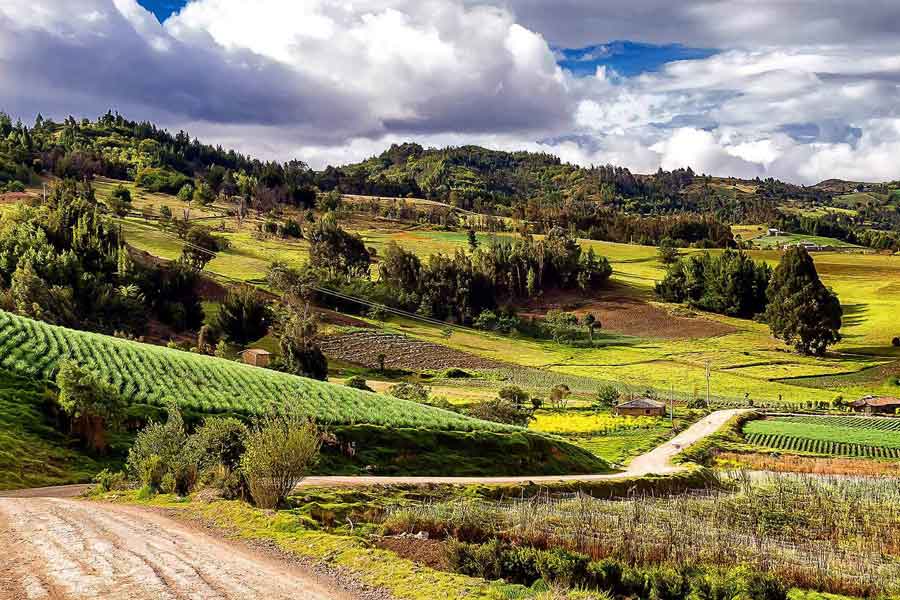 Faldeo cordilleranos