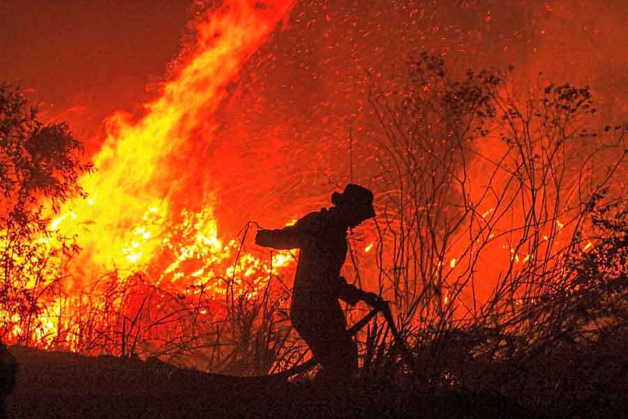 Incendios forestales