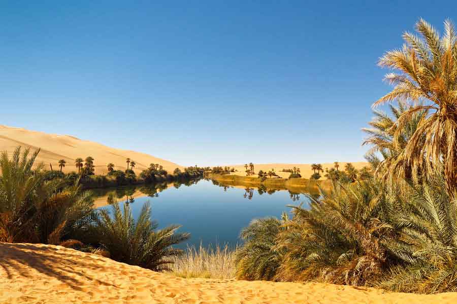 Oasis en el desierto de Libia