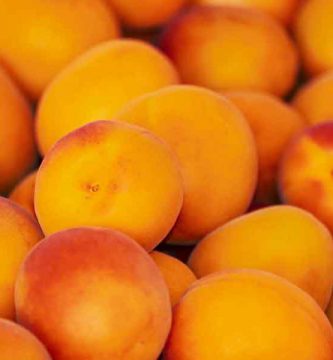 El fruto