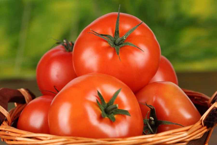 Tomates