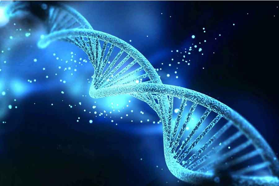 Estructura de ADN