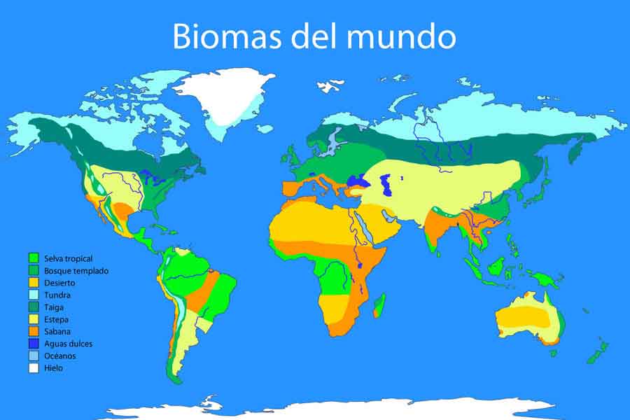 Biomas terrestres