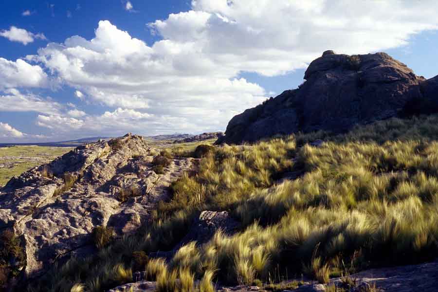 Reserva hídrica natural Pampa de Achala